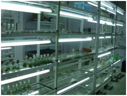 Research Infrastructure 1