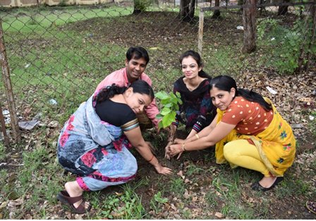 Photo of Tree Plantation 02