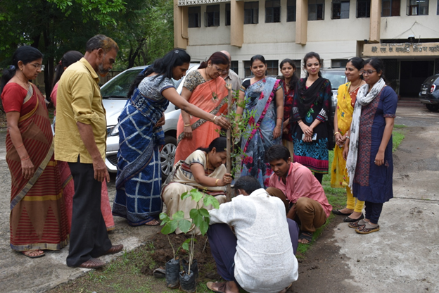 Photo of Tree Plantation 03